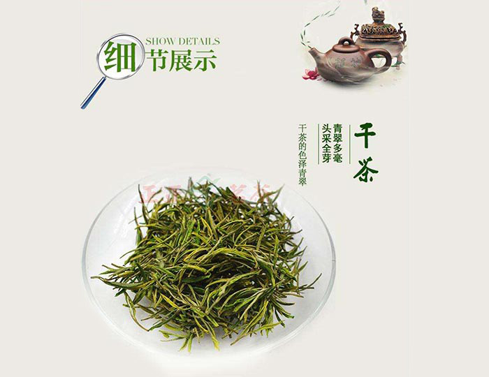 庐山云雾绿茶